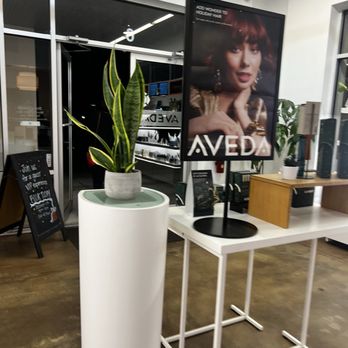 Aveda Institute - Orlando - Cosmetology Schools Near Me - Winter Park, Florida