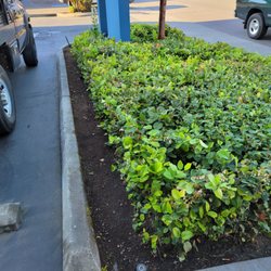 Landscaping Landin