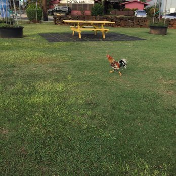Kalena Park - Playgrounds Near Me - Lihue, Hawaii Kalena Park - Playgrounds Near Me - Lihue, Hawaii