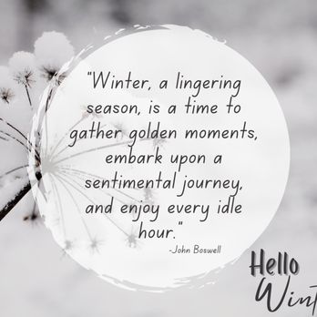 Beier Howlett PC - Happy first day of winter with a white snow background and white snowy plant and a quote welcoming winter. - Divorce & Family Law Near Me - Troy, Michigan Beier Howlett PC - Happy first day of winter with a white snow background and white snowy plant and a quote welcoming winter. - Divorce & Family Law Near Me - Troy, Michigan