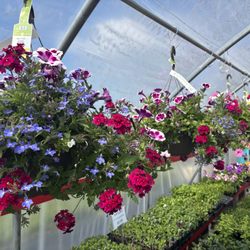 The Barn Nursery