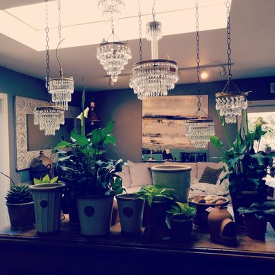 Sonoma Country Antiques by null