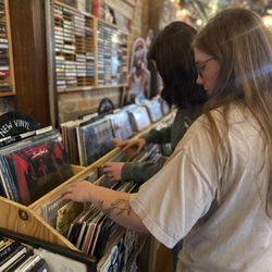 The Vinyl Store and More