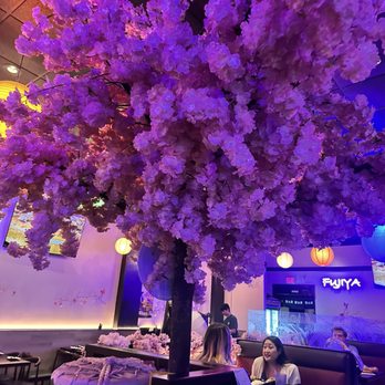 FUJIYA - Cute inside - Japanese Near Me - Burbank, California