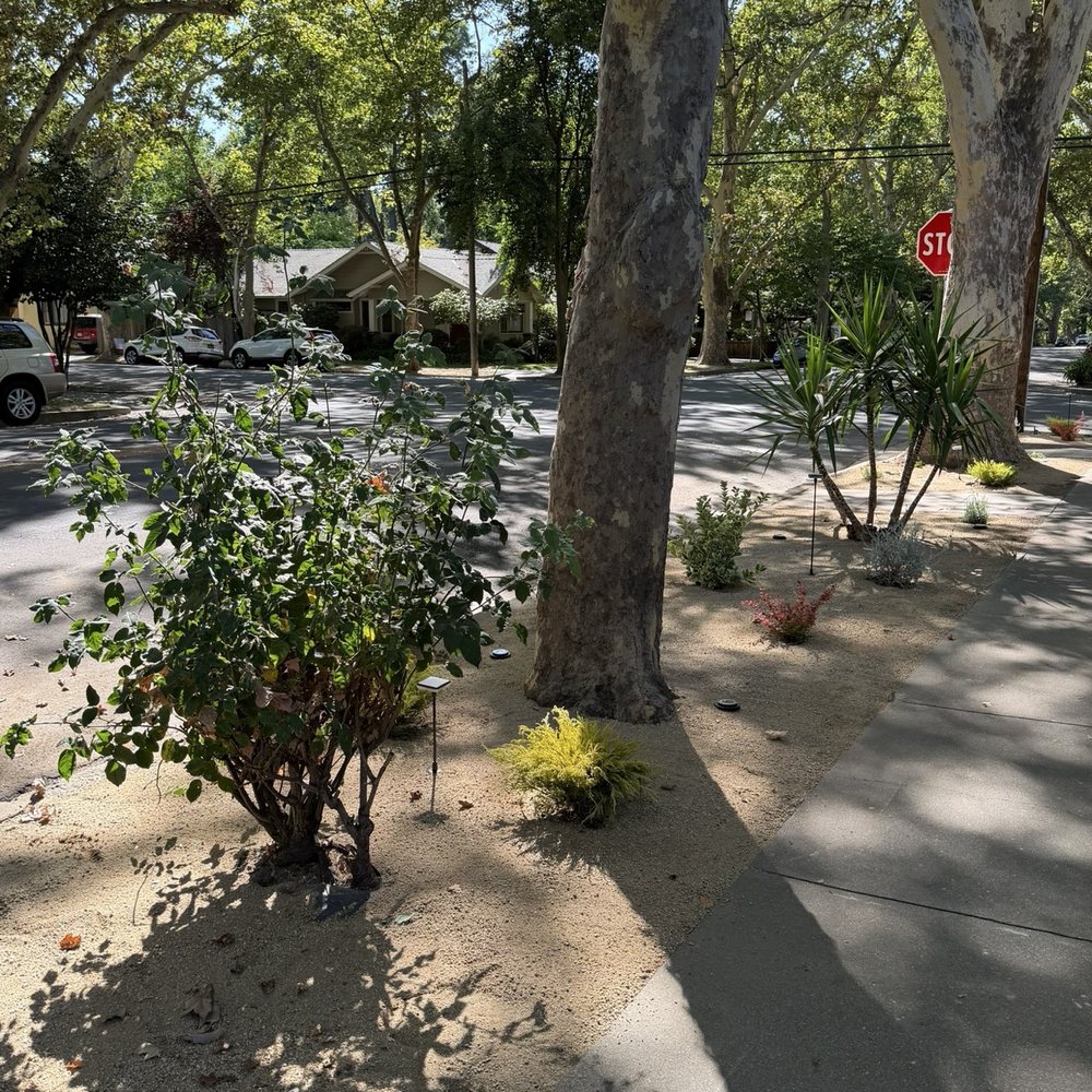 Nguyen Landscaping - After - Landscaping Near Me