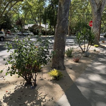 Nguyen Landscaping - After - Landscaping Near Me