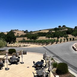 View from the tasting room View from the tasting room