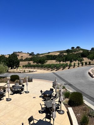 Adelaida Vineyards and Winery by null