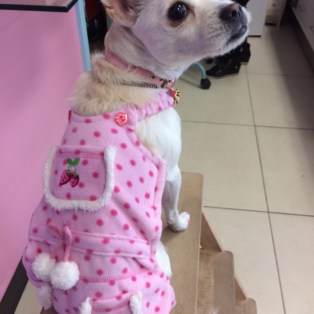 Pets Love Me - New clothes for my Bebe. - Pet Groomers Near Me - Melbourne, VIC