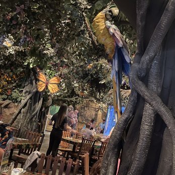 Rainforest Cafe - American Near Me - Galveston, Texas Rainforest Cafe - American Near Me - Galveston, Texas