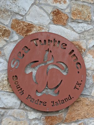 Sea Turtle, Inc. by null