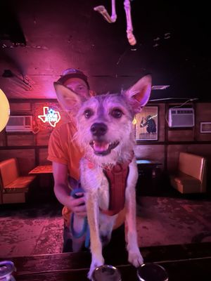 Lil' Danny Speedo's Go Fly a Kite Lounge by null