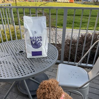 Bean & Bean - Coffee & Tea Near Me - Fort Lee, New Jersey Bean & Bean - Coffee & Tea Near Me - Fort Lee, New Jersey