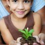 Photo of Leo's Landscaping, Lawn & Garden Solutions