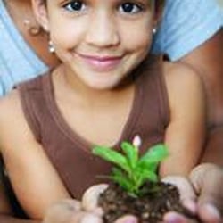 Leo's Landscaping, Lawn & Garden Solutions
