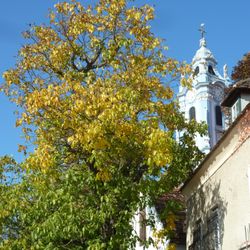 Gemeindeamt Dürnstein