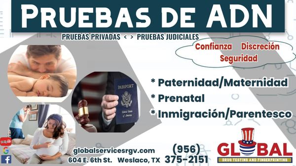 Global Tax and Insurance Services