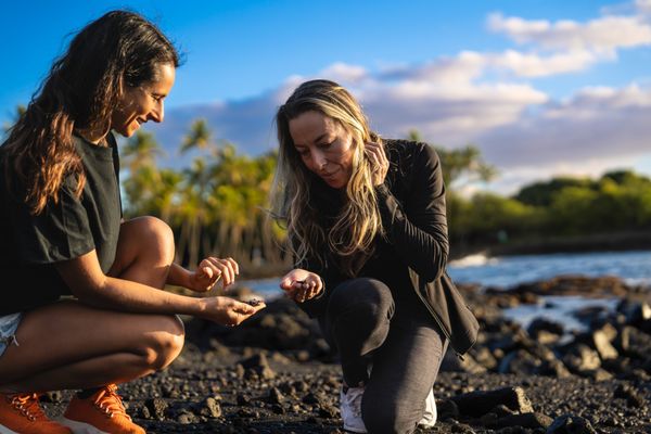 Kailani Tours Hawaii by null