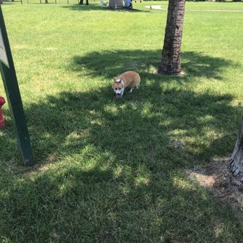 Happy Tails Dog Park - Dog Parks Near Me - Plantation, Florida Happy Tails Dog Park - Dog Parks Near Me - Plantation, Florida