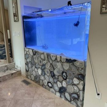 Brooklyn Custom Aquarium - Aquarium Services Near Me - Brooklyn, New York Brooklyn Custom Aquarium - Aquarium Services Near Me - Brooklyn, New York