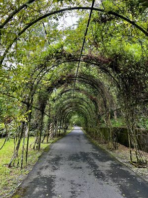Butterfly Valley Resort by null
