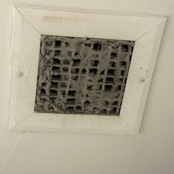 Hannaford Supermarkets & Pharmacies - Dirty store