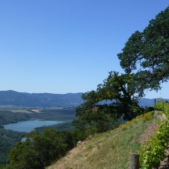 Kuleto Estate - Wine Tasting Room Near Me - Saint Helena, California Kuleto Estate - Wine Tasting Room Near Me - Saint Helena, California