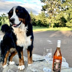 Meraviglioso Winery - Meraviglioso's Rose