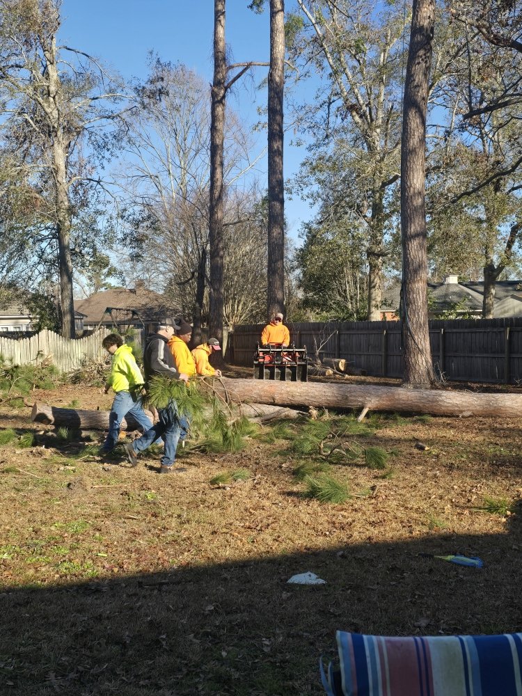 Slide of Pro Service Tree Service