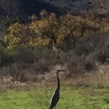 Canyon View Park - Parks Near Me - Aliso Viejo, California Canyon View Park - Parks Near Me - Aliso Viejo, California