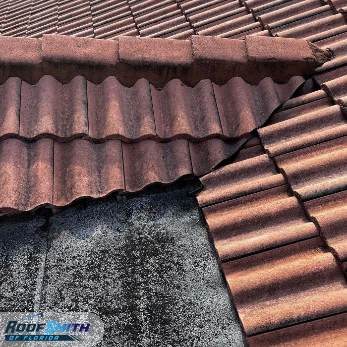 Slide of RoofSmith of Florida