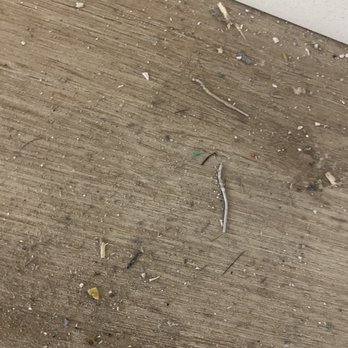 Dexter's Floors - a broken toothbrush on the floor - Flooring Near Me - Jacksonville, Florida