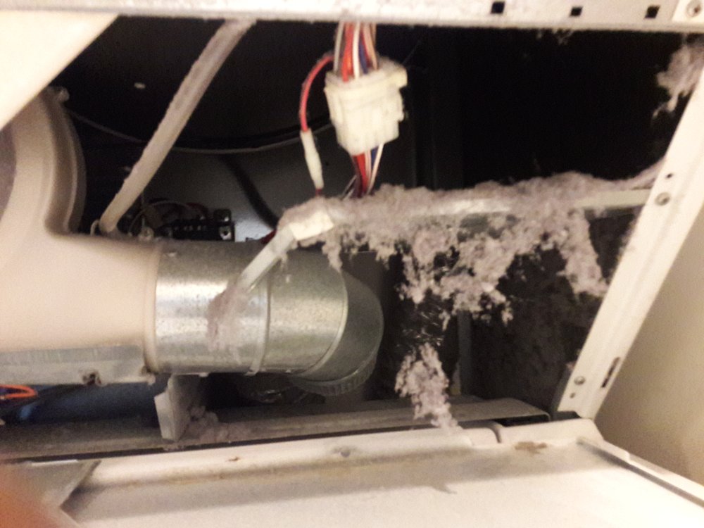 Slide of Jenalia Mechanical