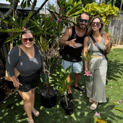 The Potted Plumeria Nursery