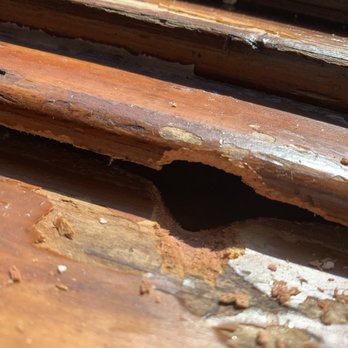 la Madeleine - Inside window sill, Looks like something gnawed a hole. - Breakfast & Brunch Near Me - Columbia, Maryland la Madeleine - Inside window sill, Looks like something gnawed a hole. - Breakfast & Brunch Near Me - Columbia, Maryland