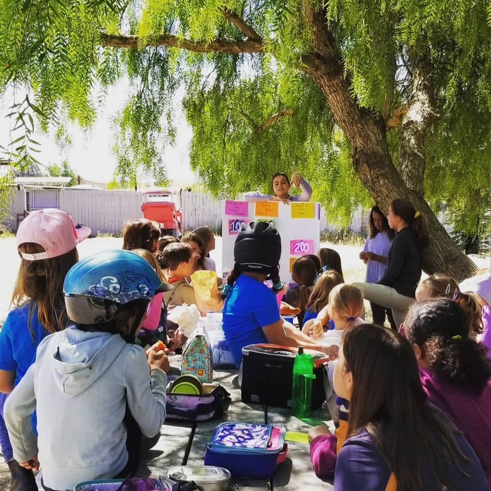 STRIDES Riding Academy - equestrian in Petaluma, CA
