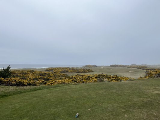 Bandon Dunes Golf Resort - Pacific Dunes by null