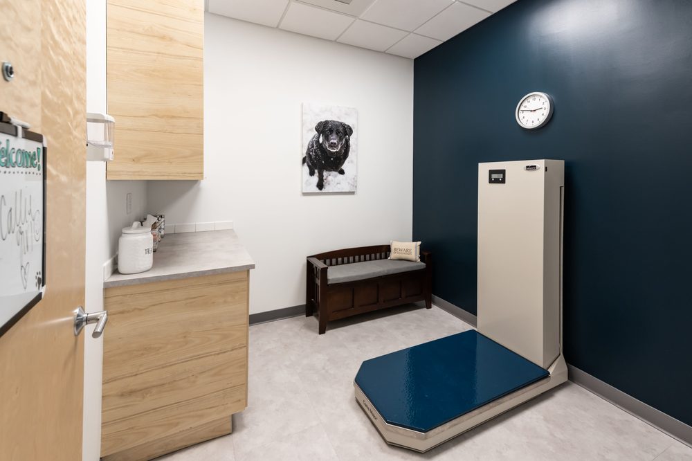 THE PET’S VET NORTH END Updated August 2024 28 Photos & 22 Reviews