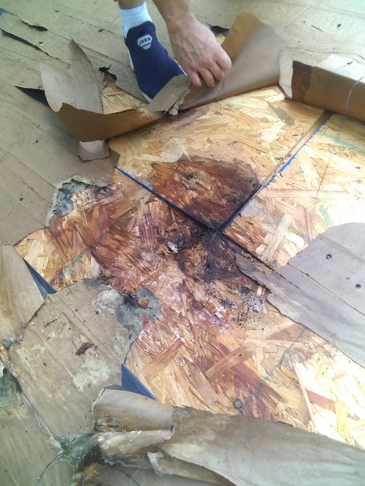 Slide of MV Roofing And Tree Services