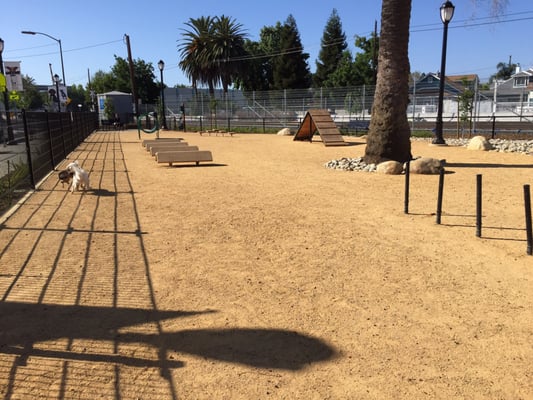 Main Street Dog Agility Park