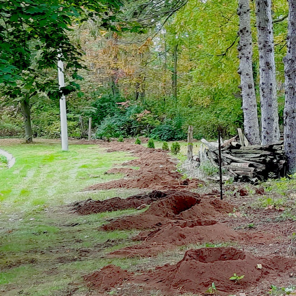 HOLE DIGGER Updated July 2024 Request Consultation Hamilton