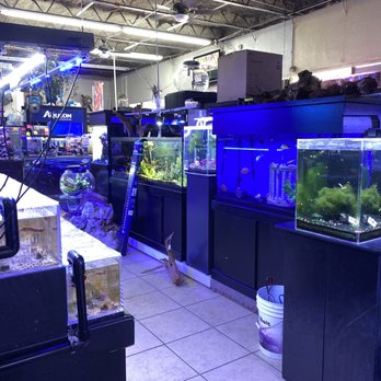 Fish Paradise - Pet Services Near Me - Fort Worth, Texas