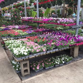 The Garden - Annuals - Nurseries & Gardening Near Me - Woodbury, Connecticut