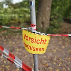 Raakmoor