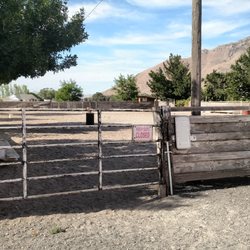 R Sharp Acres Horse Boarding and Riding Equestrian Heaven - A corral onsite.