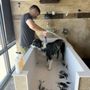 Photo of Pets Earth