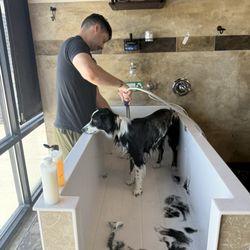 Pets Earth