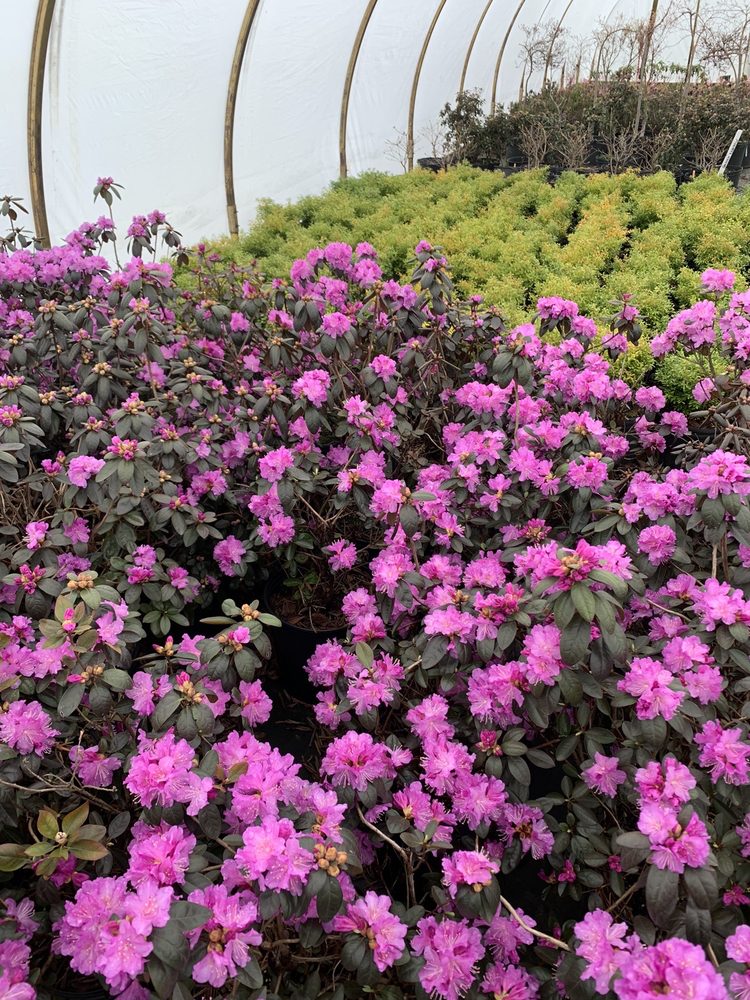 FERNBROOK NURSERY 150 Bordentown Rd, Chesterfield, NJ Yelp