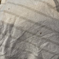 NEMA Chicago - Gunk in the washer