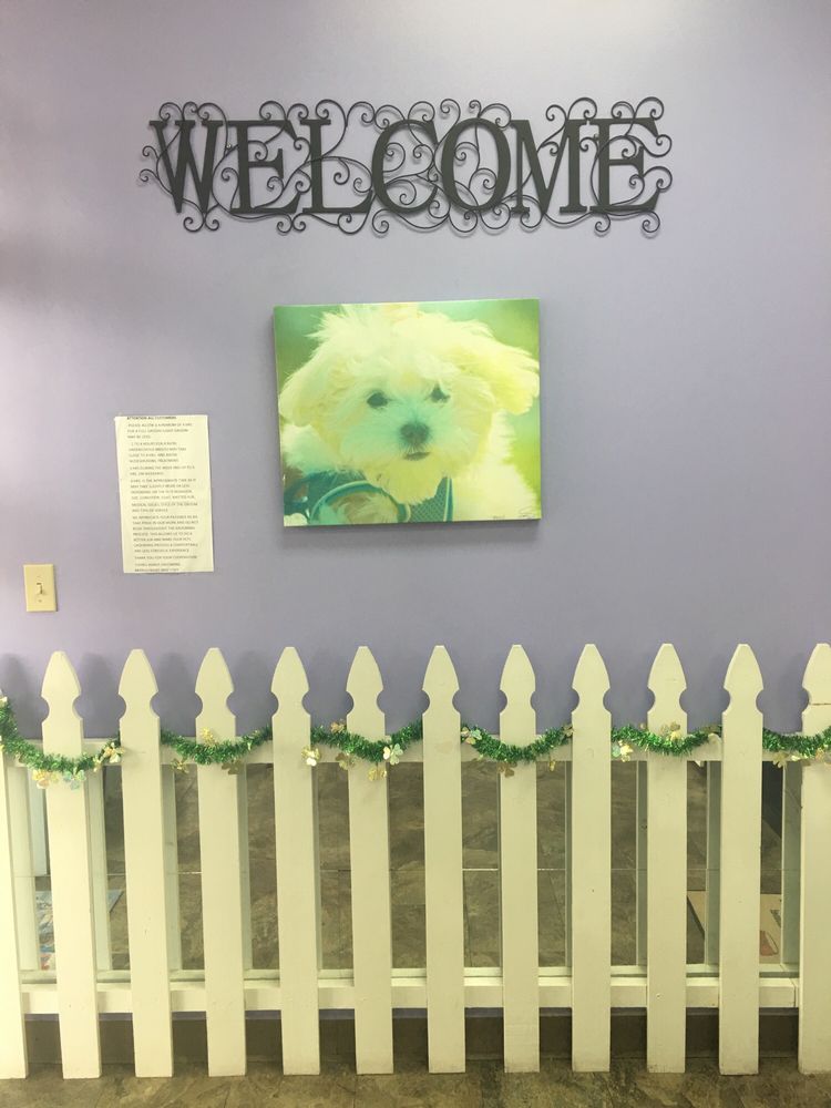 LOVING HANDS GROOMING 34 Photos & 33 Reviews Pet Groomers 1086 E